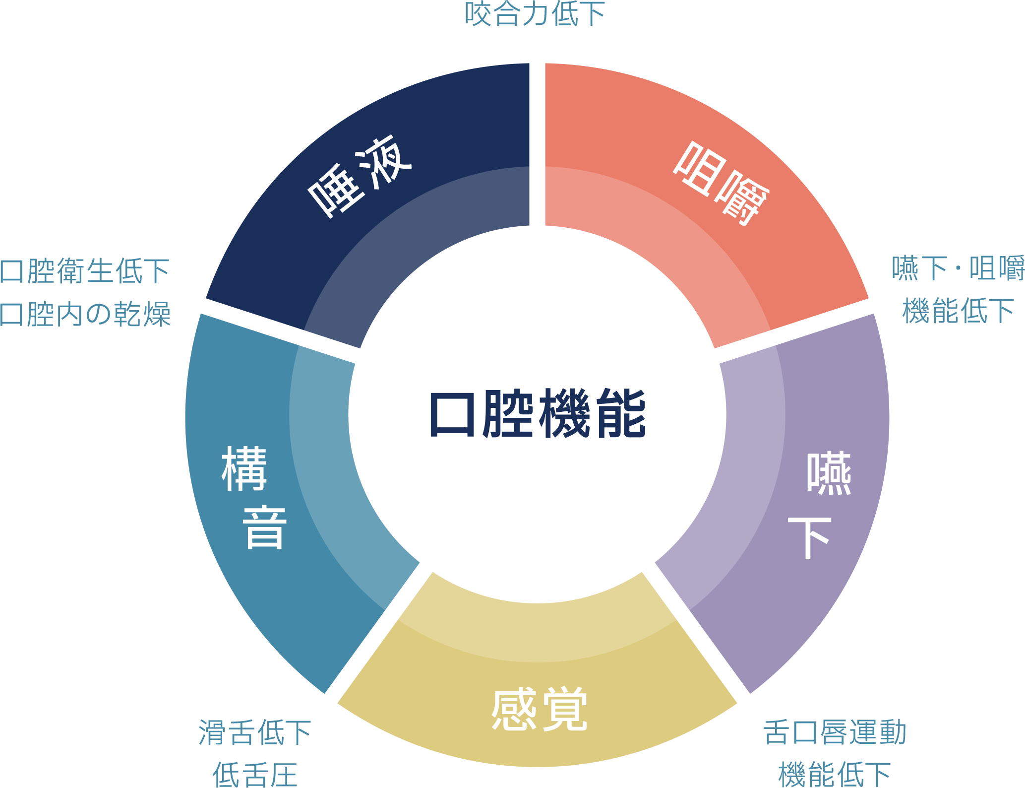 高齢者の口腔機能の問題を解決する